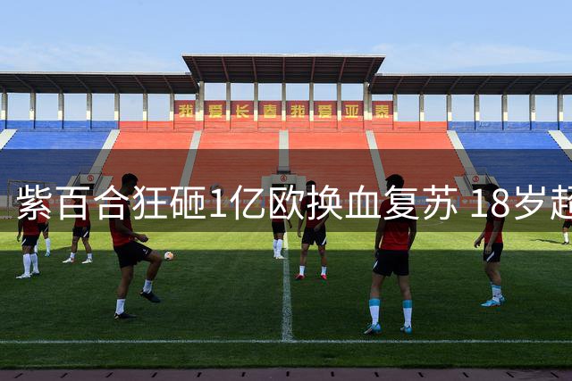 紫百合狂砸1亿欧换血复苏 18岁超新星加盟完成夏窗第十签